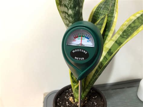 custom green thumb moisture and light meter|indoor soil moisture meter.